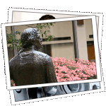 Rounds Physician News Digest